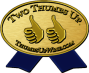 Two Thumbs Up Gold Seal Icon